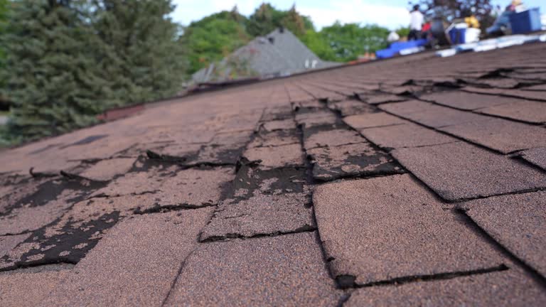 Fast & Reliable Emergency Roof Repairs in Beachwood, OH